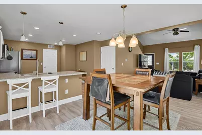 3742 Dinosaur Street, Castle Rock, CO 80109 - Photo 10