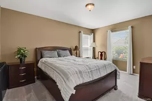 3742 Dinosaur St, Castle Rock, CO 80109 - Photo 26