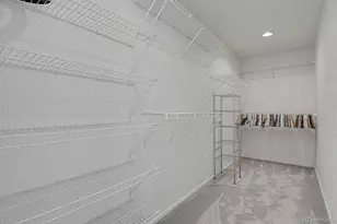 3742 Dinosaur St, Castle Rock, CO 80109 - Photo 22