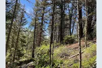 Lot 5655 Highlander Road, Fort Garland, CO 81133 - Photo 16