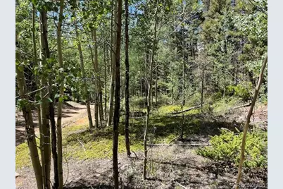 Lot 5655 Highlander Road, Fort Garland, CO 81133 - Photo 18