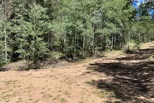 Lot 5655 Highlander Rd, Fort Garland, CO 81133 - Photo 1