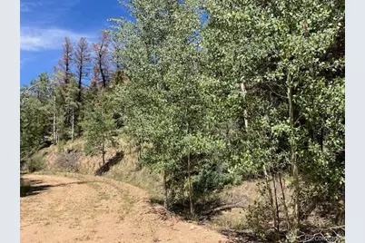 Lot 5655 Highlander Road, Fort Garland, CO 81133 - Photo 4