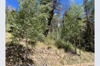 Lot 5655 Highlander Road, Fort Garland, CO 81133 - Photo 6