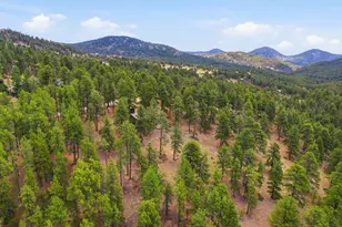 7062 Peaceful Hills Rd, Morrison, CO 80465 - Photo 40