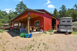 150 Julia Rd, Guffey, CO 80820 - Photo 40