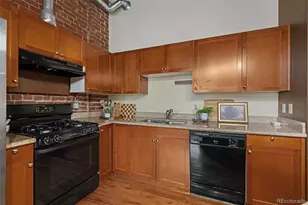 2960 Inca Street, Denver, CO 80202 - Photo 2