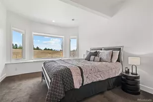 5602 Silver Bluff Ct, Parker, CO 80134 - Photo 38