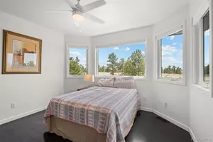 5602 Silver Bluff Ct, Parker, CO 80134 - Photo 34