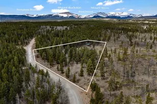 757 Thompson Park Rd, Fairplay, CO 80440 - Photo 48