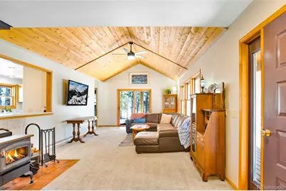 757 Thompson Park Road, Fairplay, CO 80440 - Photo 4