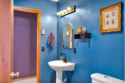 757 Thompson Park Road, Fairplay, CO 80440 - Photo 24