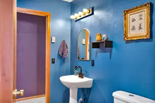 757 Thompson Park Rd, Fairplay, CO 80440 - Photo 24