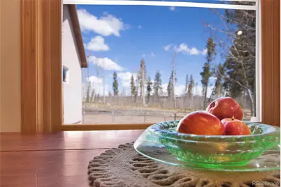 757 Thompson Park Road, Fairplay, CO 80440 - Photo 6