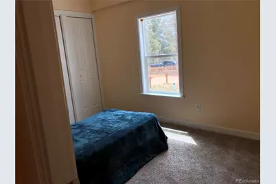169 Daisy Street, Woodland Park, CO 80863 - Photo 20