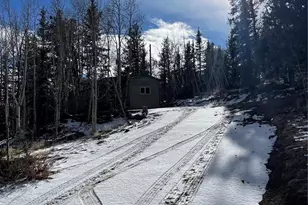 1245 Winchester Dr, Como, CO 80432 - Photo 2