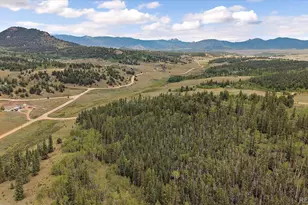 1245 Winchester Dr, Como, CO 80432 - Photo 28