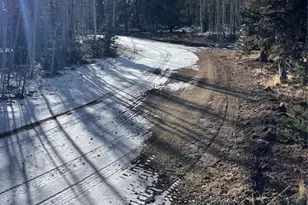 1245 Winchester Dr, Como, CO 80432 - Photo 8