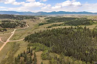 1245 Winchester Dr, Como, CO 80432 - Photo 12