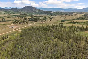 1245 Winchester Dr, Como, CO 80432 - Photo 30