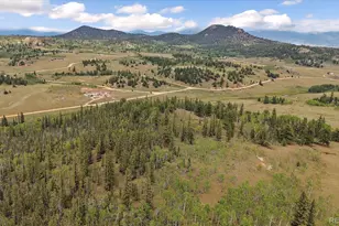 1245 Winchester Dr, Como, CO 80432 - Photo 32