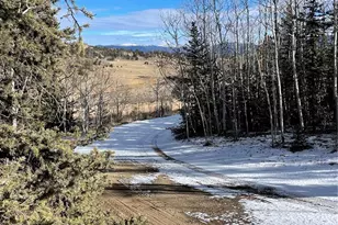 1245 Winchester Dr, Como, CO 80432 - Photo 10