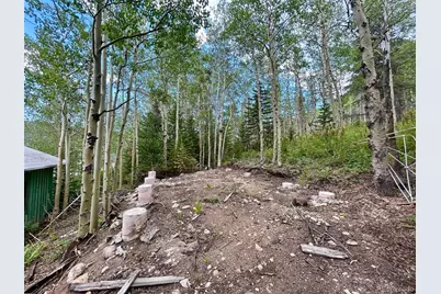 5004 Tolland Road, Rollinsville, CO 80474 - Photo 8