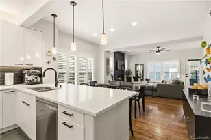 916 Ivanhoe St, Denver, CO 80220 - Photo 14