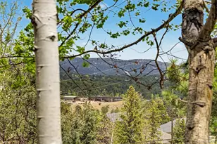 31270 John Wallace Rd, Evergreen, CO 80439 - Photo 14