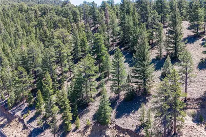 2348 Aspen Knoll Drive, Estes Park, CO 80517 - Photo 14