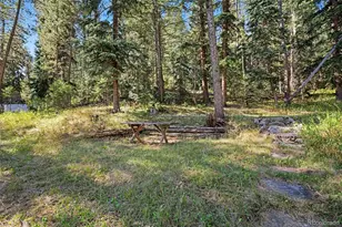 6411 S Summer Rd, Morrison, CO 80465 - Photo 24