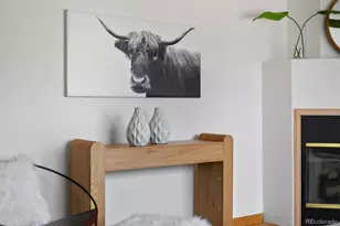 2575 S Birch St, Denver, CO 80222 - Photo 8