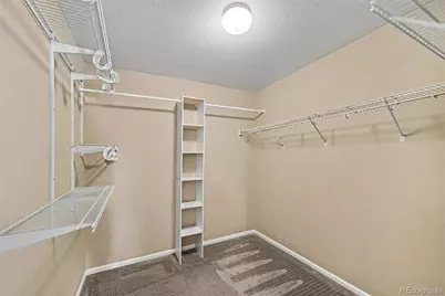 5510 Spring Ridge Trail, Castle Rock, CO 80104 - Photo 14