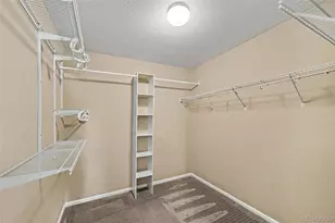 5510 Spring Ridge Trail, Castle Rock, CO 80104 - Photo 14