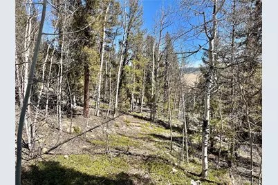 2834 Middle Fork Vista, Fairplay, CO 80440 - Photo 1