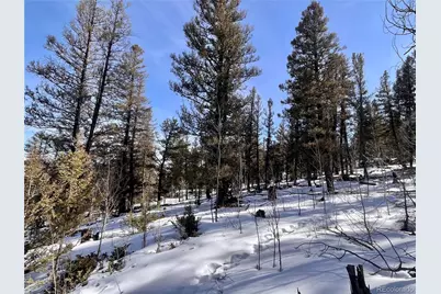 2834 Middle Fork Vista, Fairplay, CO 80440 - Photo 28