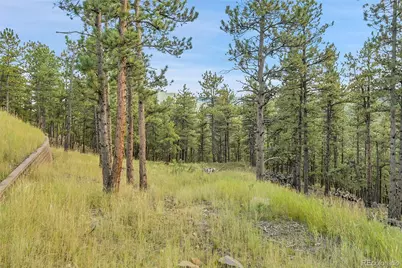 2317 Wieler Road, Evergreen, CO 80439 - Photo 10