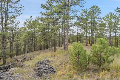 2317 Wieler Road, Evergreen, CO 80439 - Photo 8