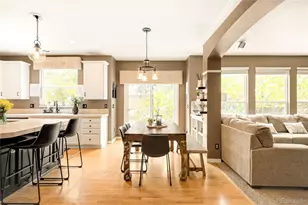 869 Shadowstone Dr, Highlands Ranch, CO 80129 - Photo 10