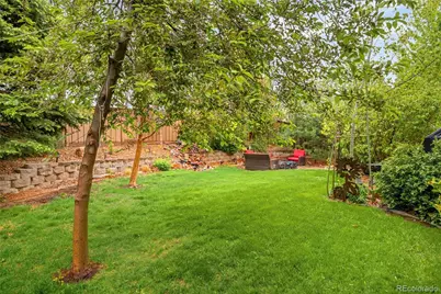 869 Shadowstone Drive, Highlands Ranch, CO 80129 - Photo 48