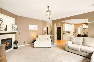 869 Shadowstone Dr, Highlands Ranch, CO 80129 - Photo 20