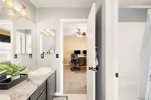 869 Shadowstone Dr, Highlands Ranch, CO 80129 - Photo 38
