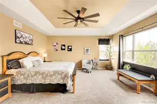 869 Shadowstone Dr, Highlands Ranch, CO 80129 - Photo 24
