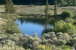 662 Cr-1, Fairplay, CO 80440 - Photo 12