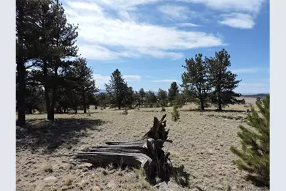 237 Rocky Mountain Court, Hartsel, CO 80449 - Photo 10