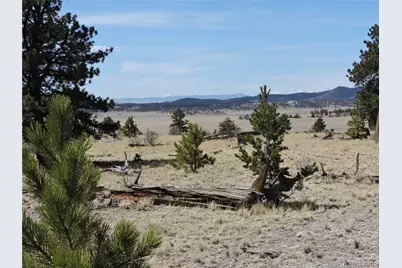 237 Rocky Mountain Court, Hartsel, CO 80449 - Photo 8