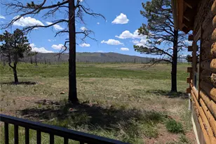 1456 Von Heyl Ln, Fort Garland, CO 81133 - Photo 6