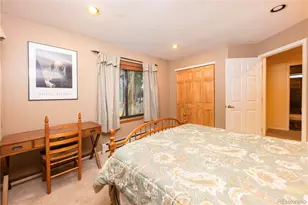 114 Park Forest Dr, Breckenridge, CO 80424 - Photo 18