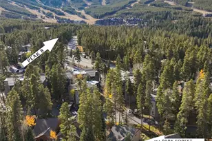 114 Park Forest Dr, Breckenridge, CO 80424 - Photo 34