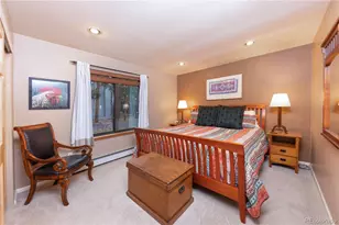 114 Park Forest Dr, Breckenridge, CO 80424 - Photo 14